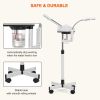 Professional Facial Steamer for Esthetician, 2 in 1 Rolling Facial Steamer with 5X Mag Lamp